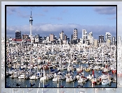 Nowa Zelandia, Jachty, Auckland, Miasto