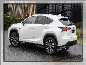 Lexus, NX, Crafted