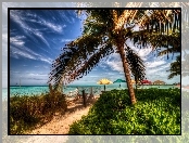 Plaża, Wakacje, HDR, Palmy, Parasole, Ocean, Tropiki