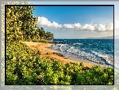 Ocean, Hawaje, Plaża, Zieleń