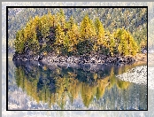 Odbicie, Włochy, Park przyrody Alpe Veglia i Alpe Devero, Jezioro Dévero - Lago di Devero, Drzewa