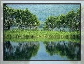 Jezioro, Odbicie, Drzewa