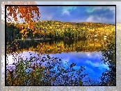 Odbicie, Kolorowy, Jezioro, Liście, Las, Drzewa