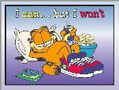 Odpoczywający, Garfield