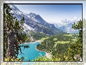 Jezioro Oeschinen, Szwajcaria, Góry, Alpy Berneńskie, Drzewa