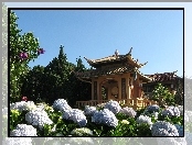 Ogród, Wietnam, Altana, Kwiaty