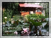 Ogród, Altanka
