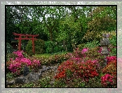 Ogród japoński, Różaneczniki, Drzewa, Strumyk