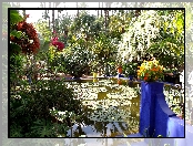 Ogród, Marrakesz, Majorelle, Sadzawka