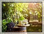 Ogród, Białe, Wino, Sery, Winogrona