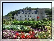 Ogród, Zamek w Villandry, Château de Villandry, Francja, Villandry
