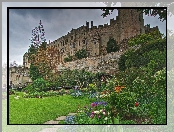 Zamek, Ogród, Kwiaty