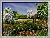 Ogródek, Wiosna, Kwiaty, Kwitnące Drzewa
