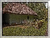 Stary, Ogródek, Płot, Domek, Drewniany, Słomiany, Dach