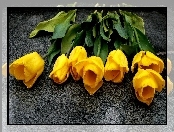 Żółte, Tulipany