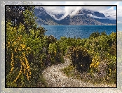 Góry, Kwiaty, Nowa Zelandia, Jezioro Wakatipu, Droga, Krzewy, Żółte