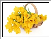 Tulipany, Żółte, Koszyk