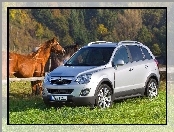 Opel Antara, Koń, Zieleń