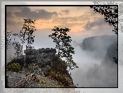 Poranek, Powiat Sachsische Schweiz-Osterzgebirge, Drzewa, Niemcy, Skała, Sosny, Mgła, Park Narodowy Saskiej Szwajcarii