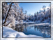 Zima, Oszronione, Drzewa, Śnieg, Jezioro