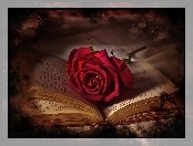 Róża, Otwarta, Książka