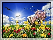 Kwiaty, Łąka, Ptaki, Narcyzy, 2D, Kolorowe, Wiosna, Samolot, Owca