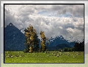 Glenarchy, Owce, Pastwisko, Trey Ratcliff, Góry, Nowa Zelandia