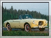 Volvo P 1900