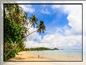 Wyspa Ko Mak, Plaża, Chmury, Prowincja Trat, Tajlandia, Morze, Palmy