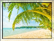 Lato, Palmy, Plaża, Morze, Molo
