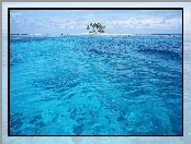 Wyspa, Palmy, Morze
