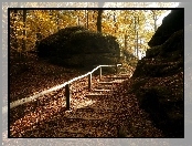 Park