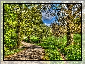 Park