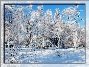 Park, Zima, Alejki, Ławki