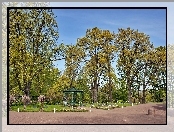 Park, Chochoły, Aleksandrowski, Altana