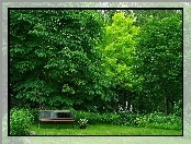 Park, Ławka