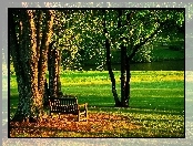 Park, Lato, Ławka, Staw
