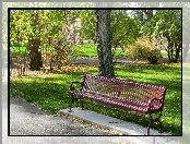 Park, Ławka