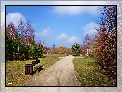 Park, Drzewa, Ścieżka, Ławka
