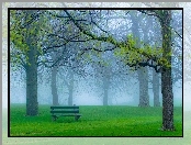 Park, Mgła, Drzewa, Ławka