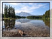 Prowincja Alberta, Drzewa, Maligne Lake, Kanada, Góry, Lasy, Jezioro, Park Narodowy Jasper