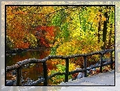 Park, Jesień, Rzeka, Drzewa, Ogrodzenie