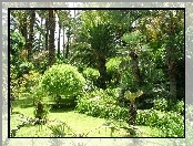 Egzotyczny, Park, Palmy