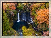 Jesień, Kolorowe, Japonia, Skały, Shiraito Falls, Wodospad, Park Narodowy Fudżi Hakone Izu, Drzewa, Prefektura Shizuoka