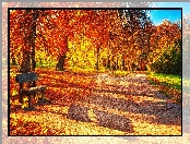 Jesień, Park, Ławka