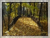 Park, Liście, Jesień, Mostek