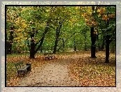Park, Jesień