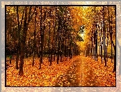 Park, Liście, Jesienią, Złote
