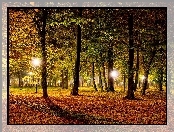 Jesienny, Park, Oświetlenie