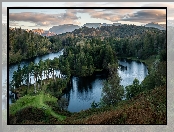 Anglia, Park Narodowy Lake District, Wzgórza, Lasy, Jezioro